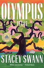 Book cover of "Olympus Texas" by Stacey Swann