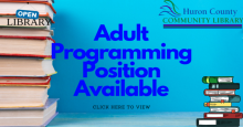 Adult Programming Position Available
